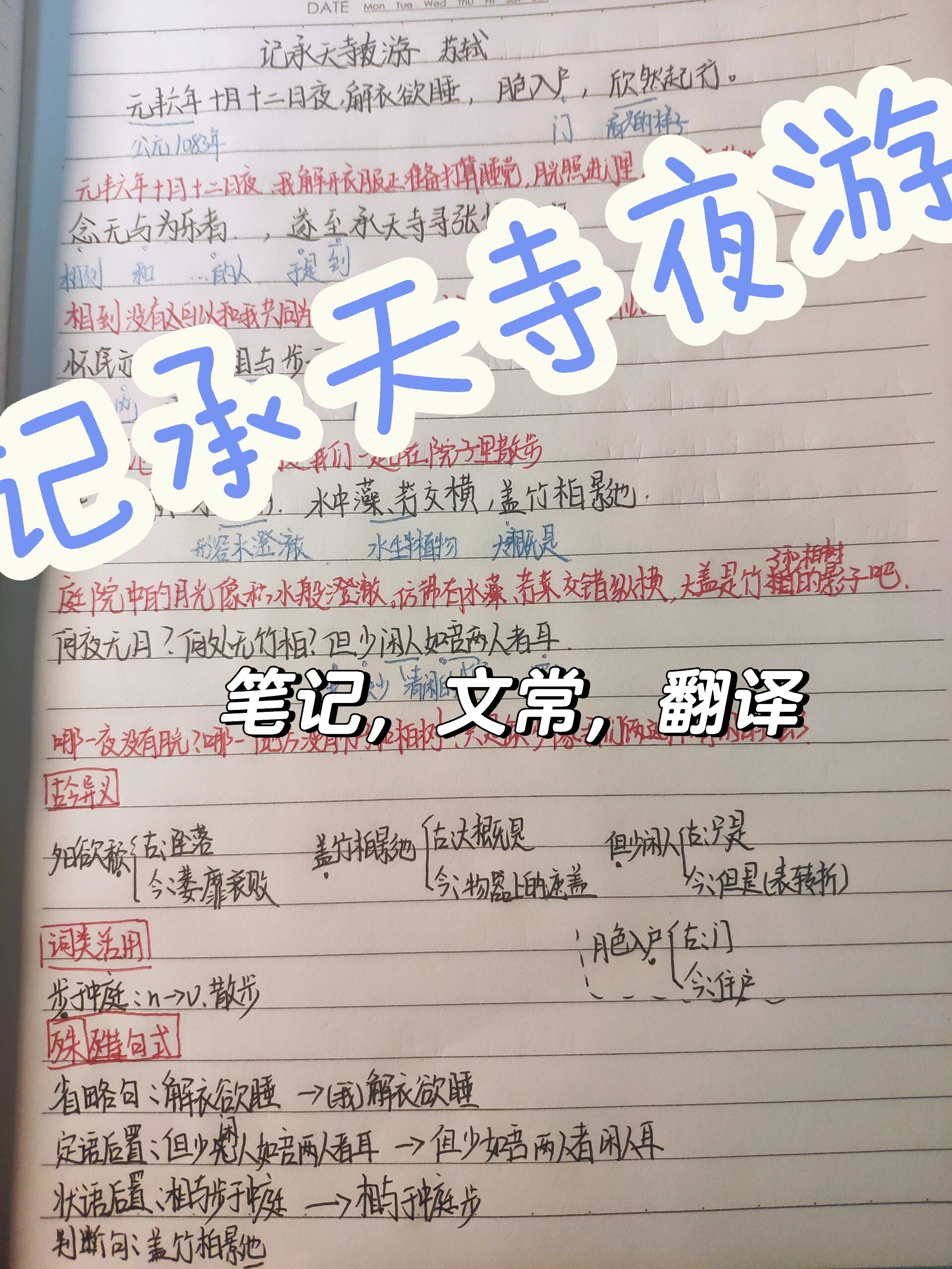 本泽马传射建功，泰山新星横空出世，场边球探频频记笔记的简单介绍